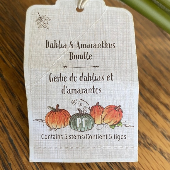 NWT Pier 1 Dahlia & Amaranthus 2 pack Bundle - Picture 7 of 8